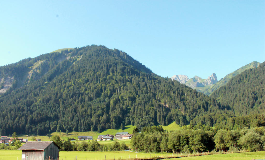 Haus Diedams Schoppernau Exterior photo