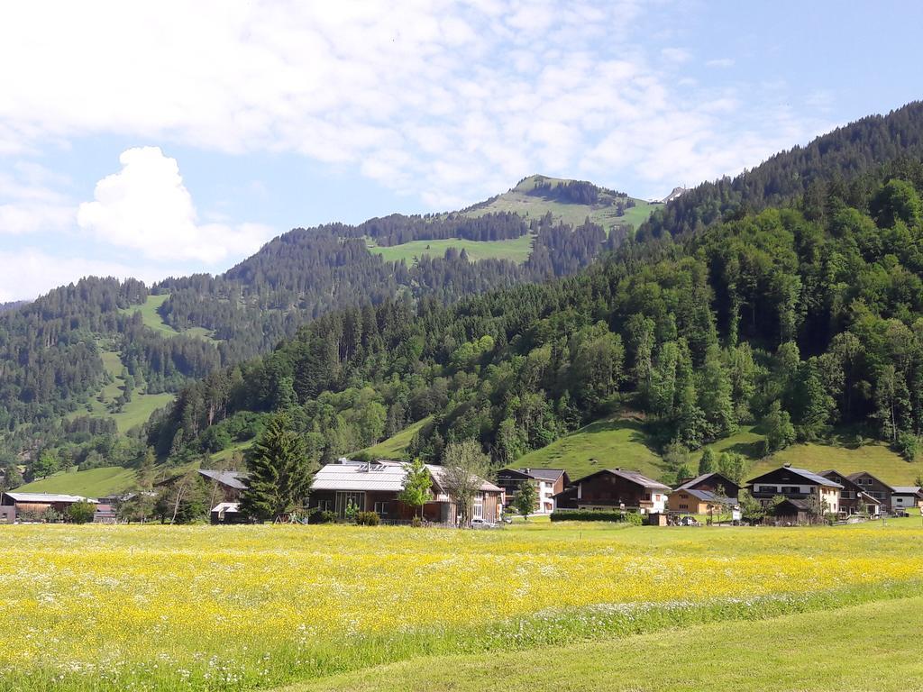 Haus Diedams Schoppernau Exterior photo